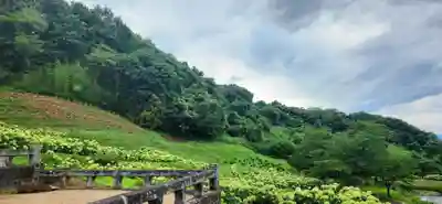 陽林寺(福島県)