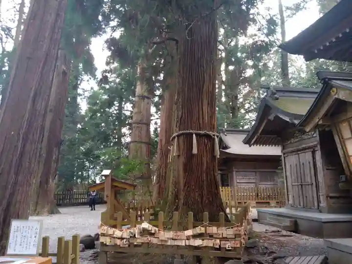 高千穂神社(宮崎県)