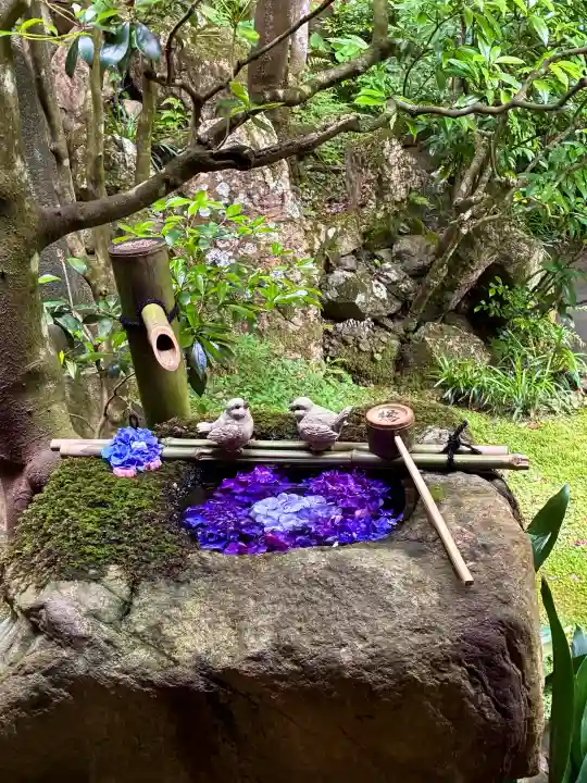 柳谷観音 楊谷寺(京都府)