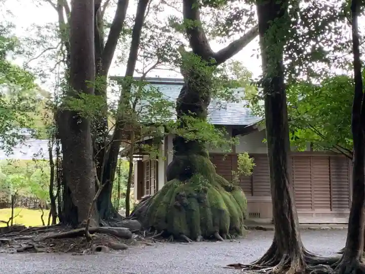 伊雜宮(皇大神宮別宮)の自然