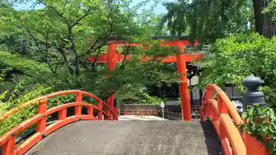 賀茂御祖神社(下鴨神社)の鳥居