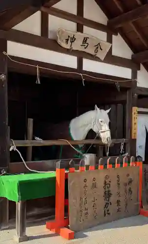 賀茂別雷神社（上賀茂神社）(京都府)