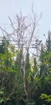 出雲大社倉敷教会(岡山県)