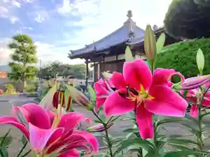 真言宗 善通寺派 薬王寺(香川県)(2023年07月04日(火) 19時59分40秒投稿)