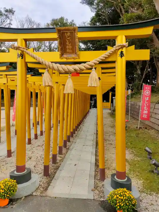 ほしいも神社の{uncategorized: "未分類", other: "その他", undefined: "問題あり", building: "その他建物", grave: "お墓", sacred_gate: "鳥居", guardian: "狛犬", statue: "像", buddha: "仏像", history: "歴史", nature: "自然", garden: "庭園", animal: "動物", pagoda: "塔", temizu: "手水舎", mountain_gate: "山門・神門", sanctuary: "本殿・本堂", subordinate: "末社・摂社", art: "芸術", scenery: "景色", jizo: "地蔵", ema: "絵馬", goshuin: "御朱印", omikuji: "おみくじ", items: "授与品その他", amulet: "お守り", goshuincho: "御朱印帳", eats: "食事", festival: "お祭り", votive_dance: "神楽", shichigosan: "七五三参", wedding: "結婚式", experience: "体験その他", initially: "初詣", around: "周辺", anti_infection: "感染症対策"}