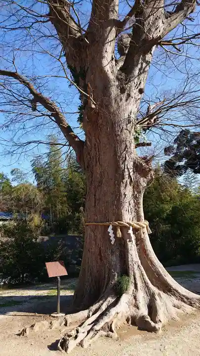 素鵞神社の自然