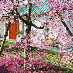 寿量山　速成寺の庭園