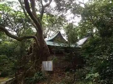 大湊神社(雄島)の本殿・本堂