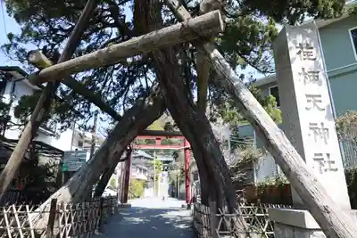 荏柄天神社(神奈川県)