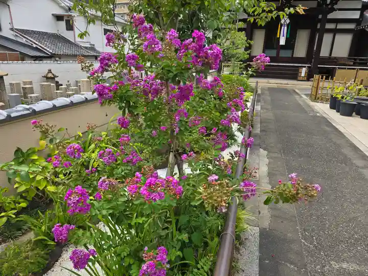 善福寺(大阪府)