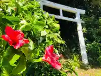 鳥羽神社の自然