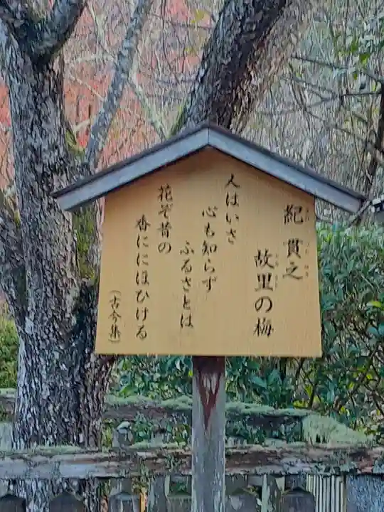 長谷寺(奈良県)