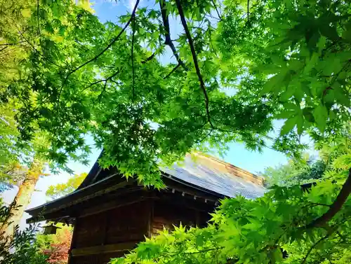 滑川神社 - 仕事と子どもの守り神の自然