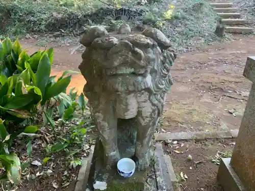 柏原神社の狛犬