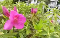 比佐豆知神社(三重県)