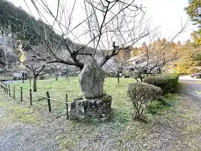 嶺南寺(滋賀県)