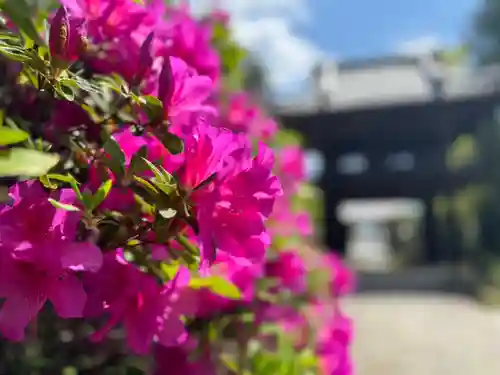 伊勢の国 四天王寺(三重県)