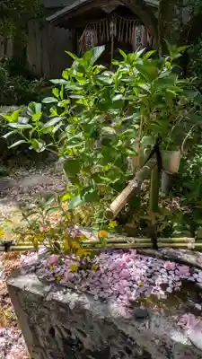 宝蔵寺(京都府)