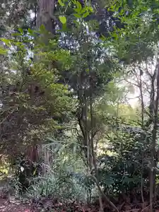 大宮温泉神社(栃木県)(2023年08月16日(水) 11時28分01秒投稿)