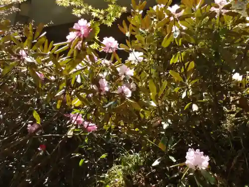 横蔵寺(岐阜県)