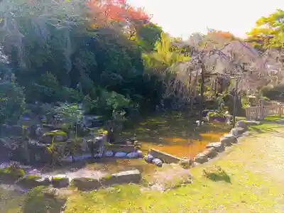 竹林院の庭園