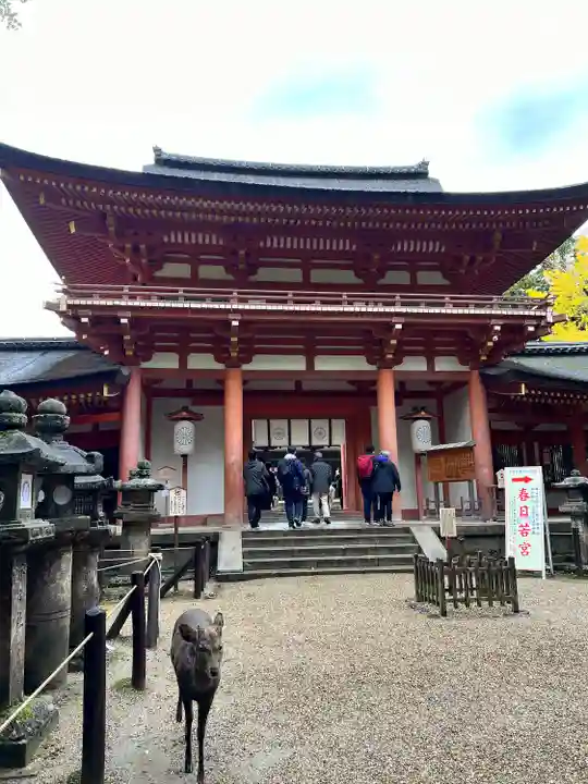 春日大社(奈良県)