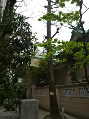銀杏岡八幡神社(東京都)