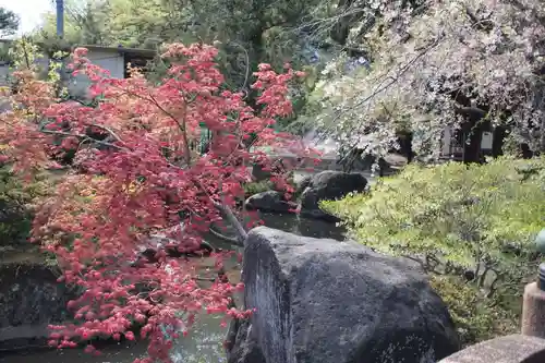 山梨岡神社の庭園