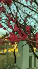 北野神社(東京都)