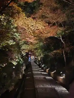高台寺（高台寿聖禅寺・高臺寺）(京都府)