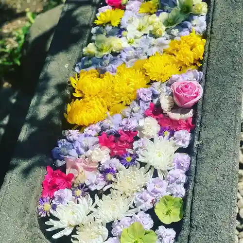 石歴山　妙勝寺の手水舎