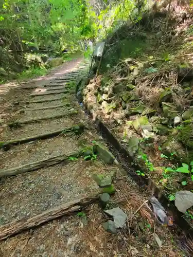 名草厳島神社の自然