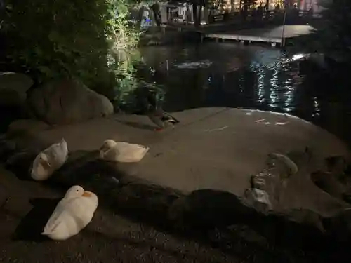 平塚八幡宮(神奈川県)