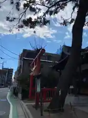 猿田彦神社の鳥居