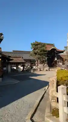 六孫王神社(京都府)
