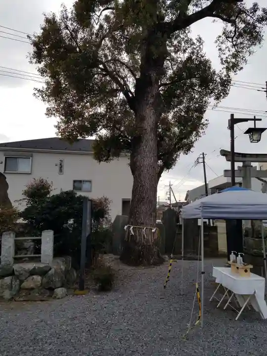 菖蒲神社の自然