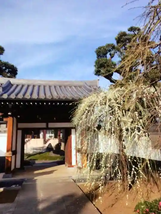 圓照寺(東京都)