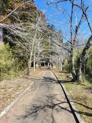 鹿島神社 本殿(栃木県)
