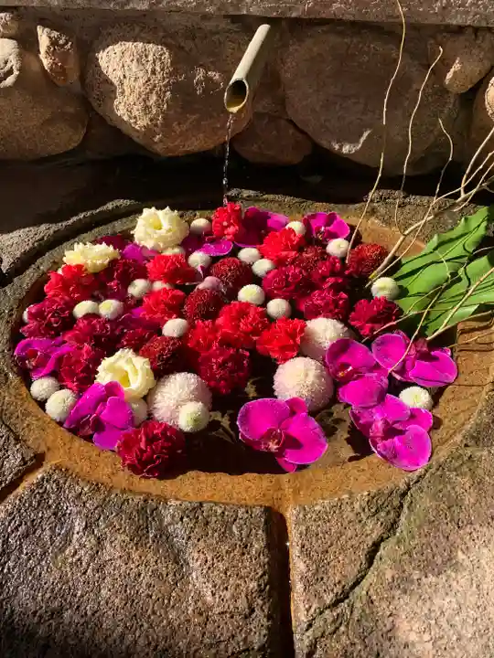 生田神社の手水舎