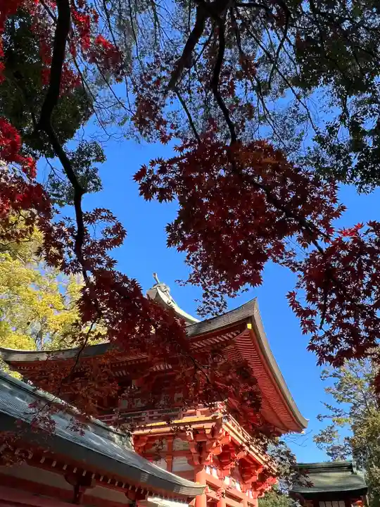 武蔵一宮氷川神社(埼玉県)