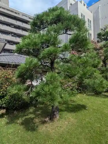 源空寺(東京都)