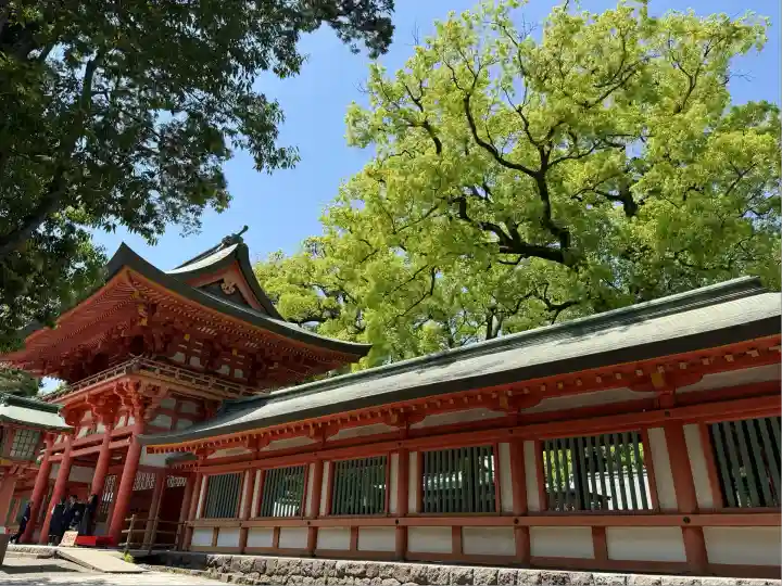 武蔵一宮氷川神社(埼玉県)
