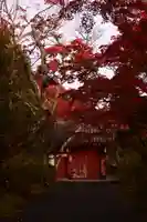 常照寺(京都府)