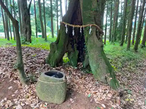 立野神社の手水舎