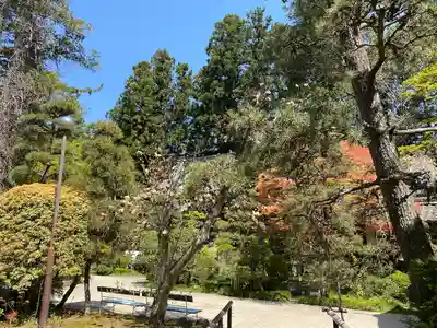 瑞鳳寺(宮城県)
