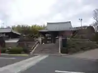 妙蓮寺の本殿・本堂