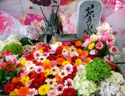 札幌諏訪神社の手水舎