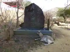 楽法寺（雨引観音）の動物