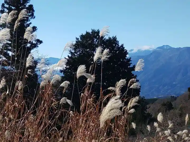 浄泉院(山梨県)