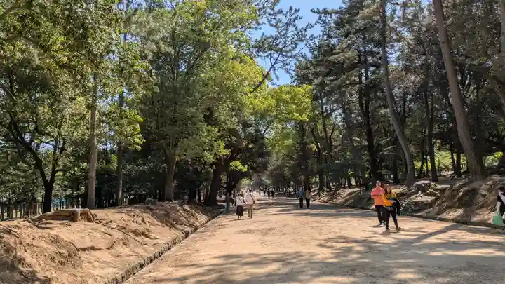 春日大社(奈良県)